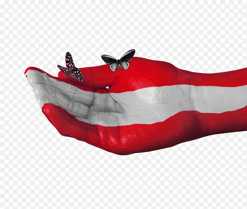 奥地利国旗手绘蝴蝶