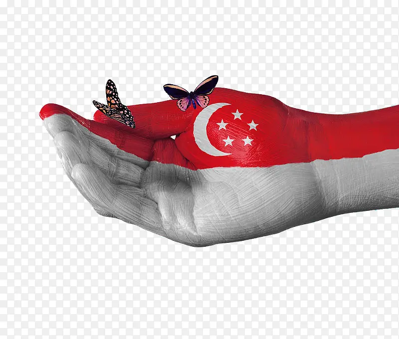 新加坡国旗手绘蝴蝶图案