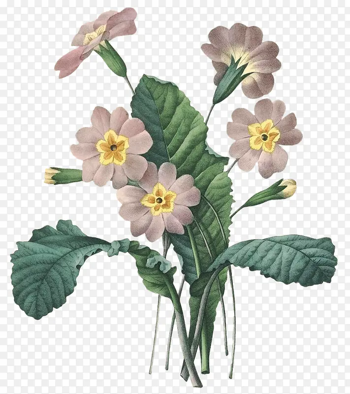 手绘水彩花卉