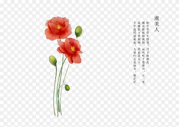 手绘花卉