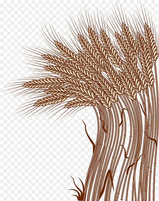 农作物麦穗创意矢量图