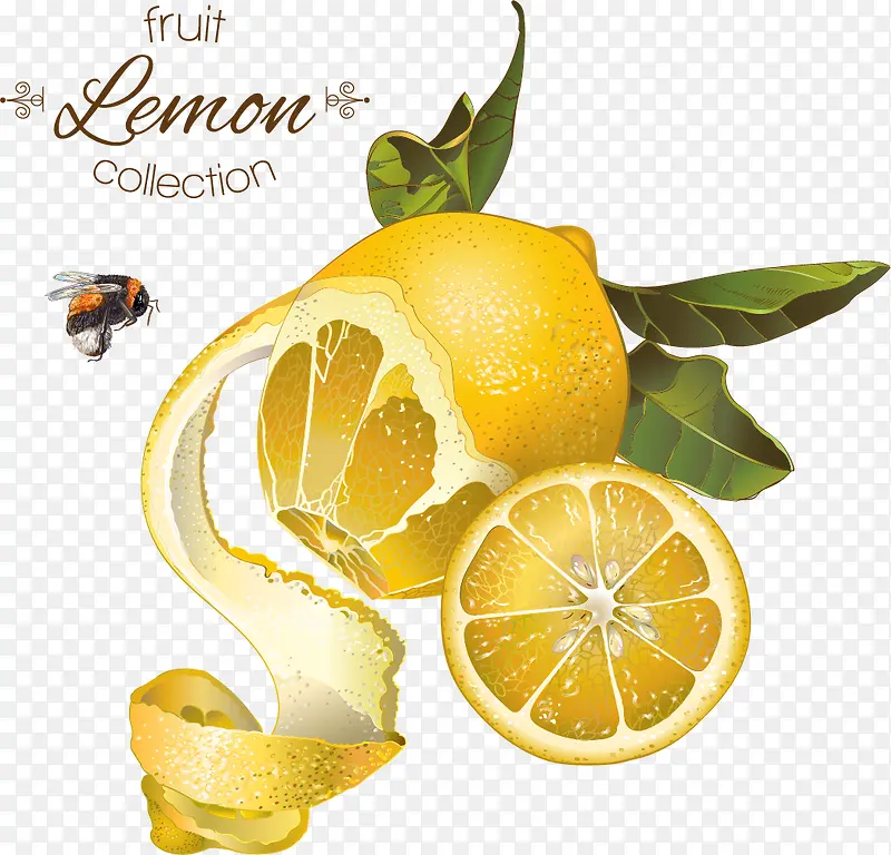 复古橙子柠檬蜂蜜矢量背景