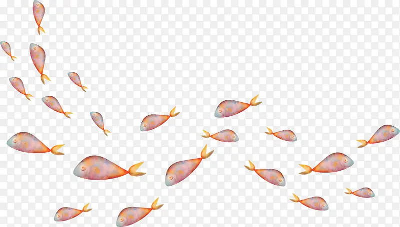 彩色鱼群