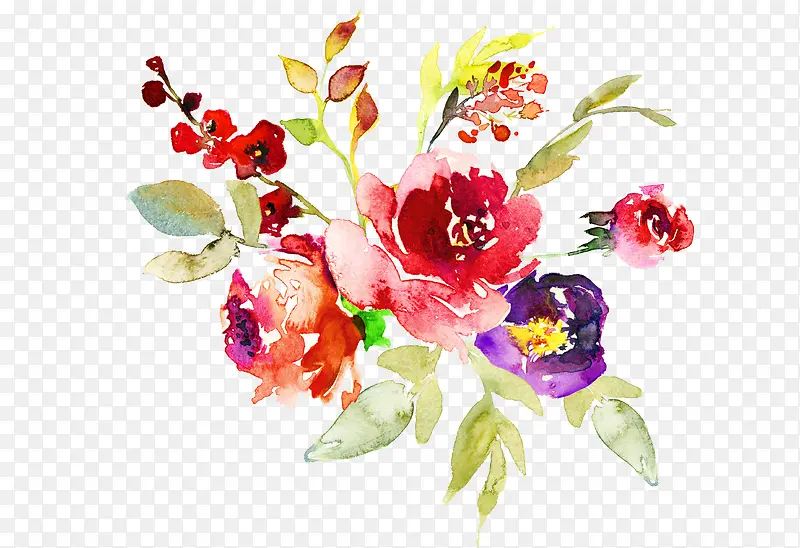 手绘水彩植物花卉
