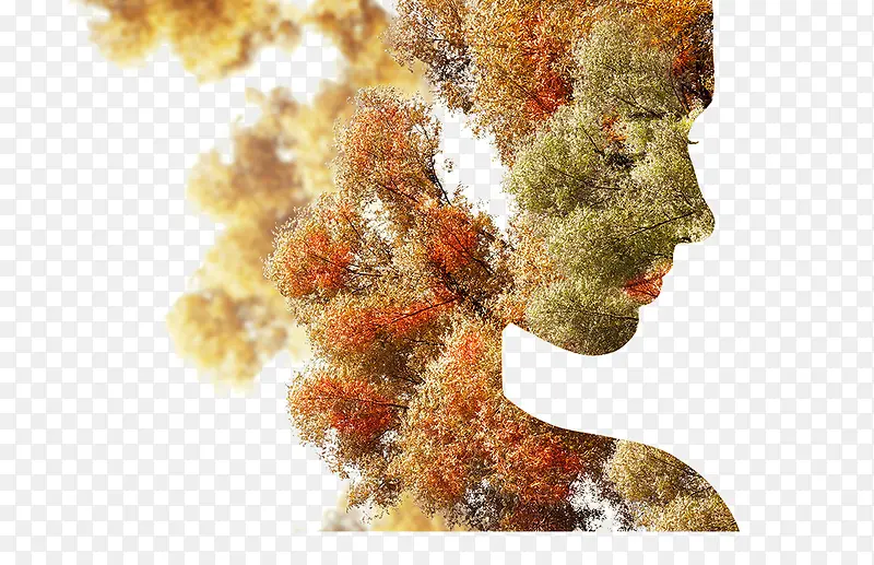 植物人物剪影侧脸