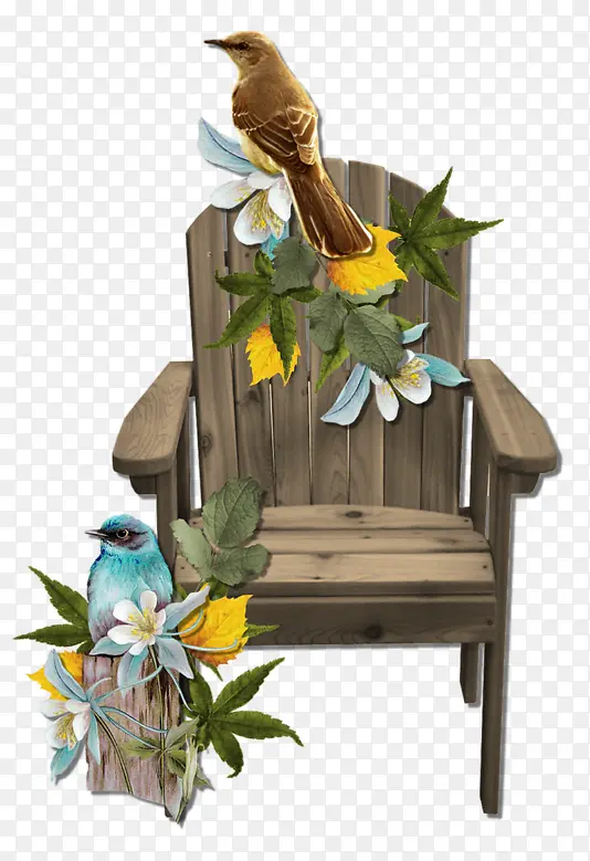 木椅上的鸟