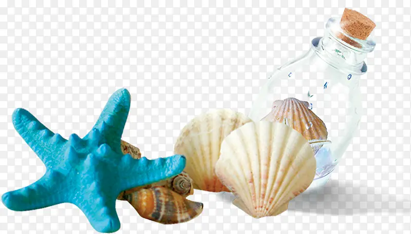 摄影夏日沙滩海星贝壳漂流瓶