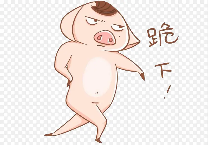 蔑视的小猪