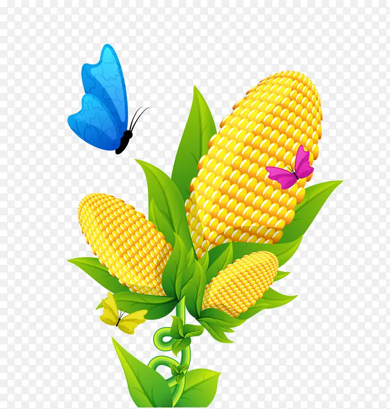 玉米上的蝴蝶装饰