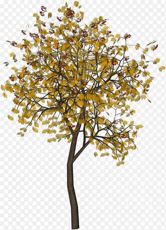 黄色叶子装饰 树