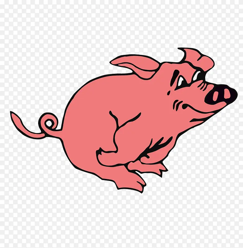 粉红色的小胖猪