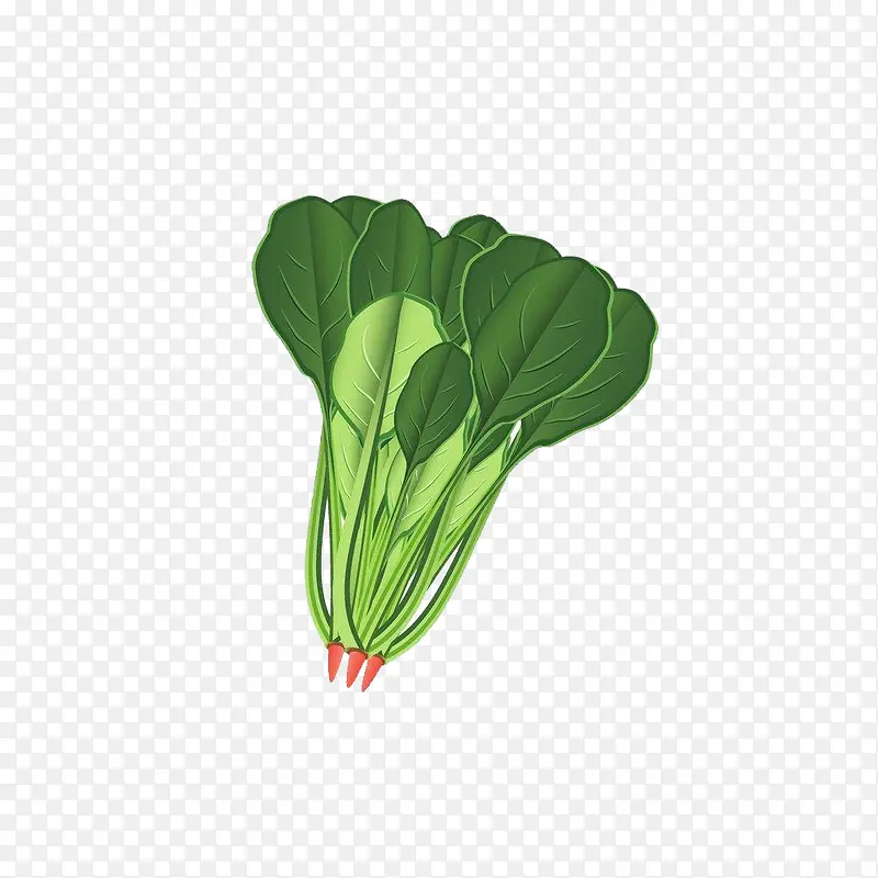 绿色菠菜