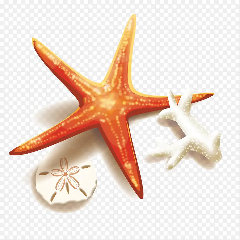 海星和珊瑚