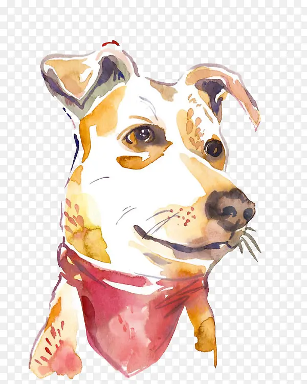 一只小狗