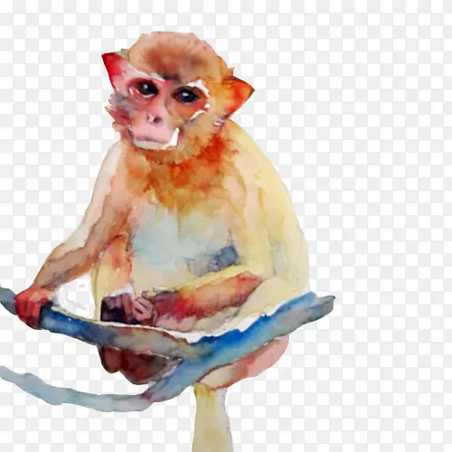金丝猴水彩画素材图片