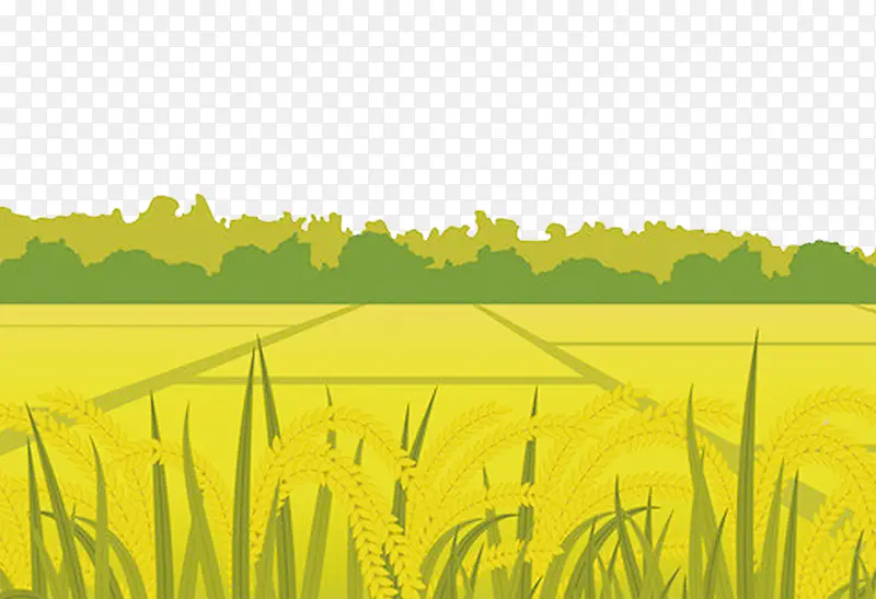 黄色二十四节气谷雨小麦