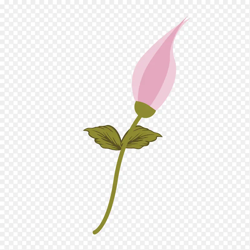 矢量手绘杜鹃花瓣线稿