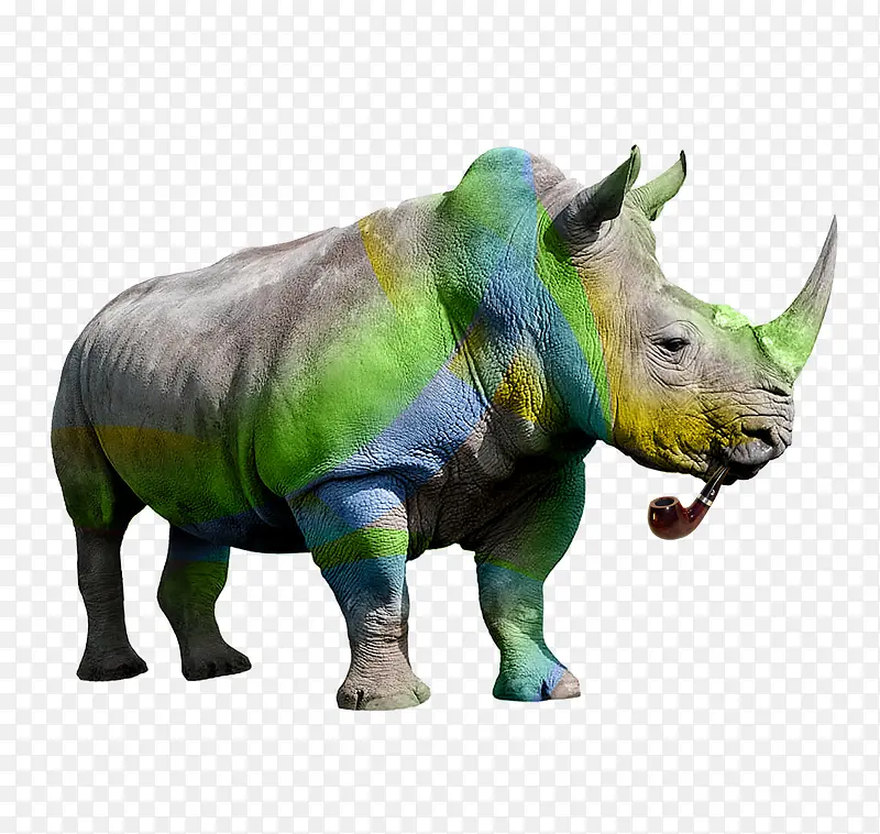 彩色犀牛