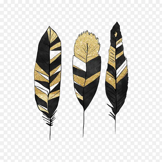 黑色和金色的羽毛设计