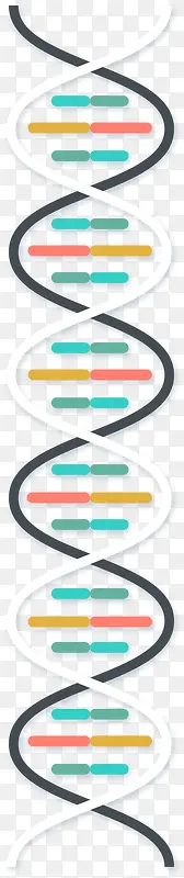 dna