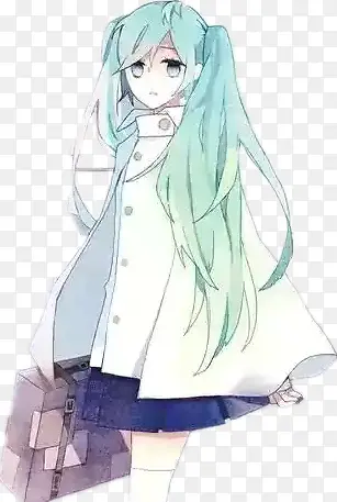 二次元双马尾