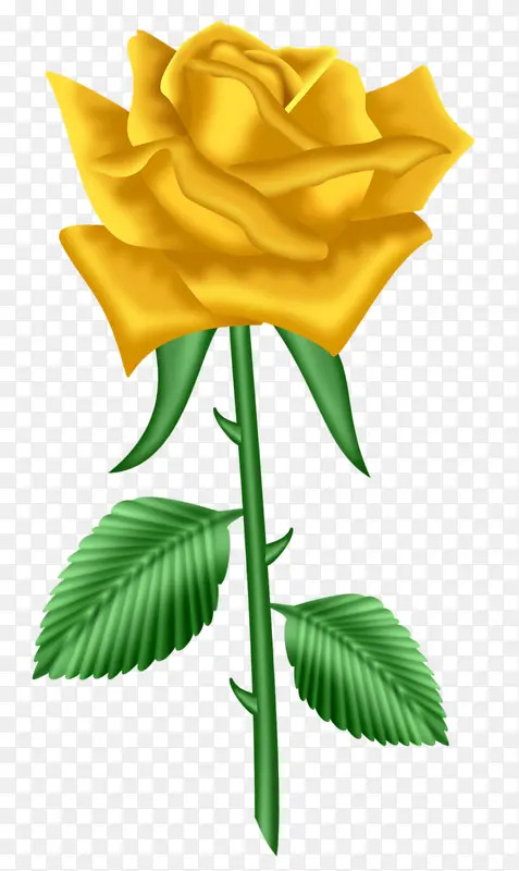一朵黄玫瑰