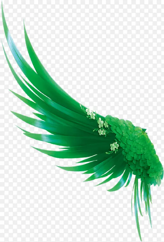 绿叶子翅膀