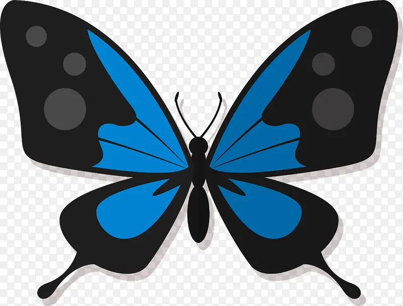蓝色矢量蝴蝶动物素材图