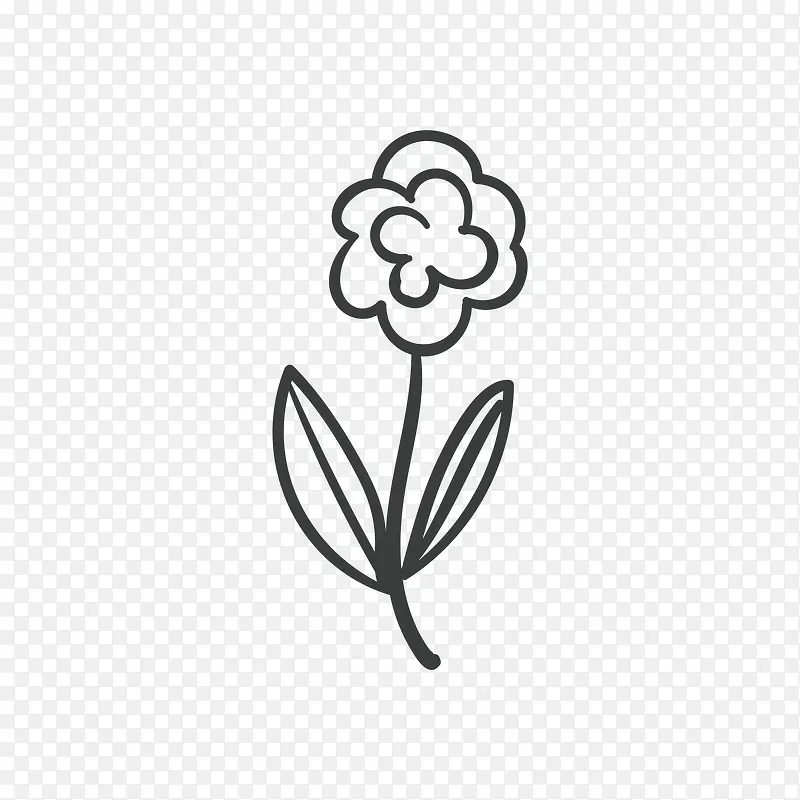 手绘花卉黑白花卉装饰