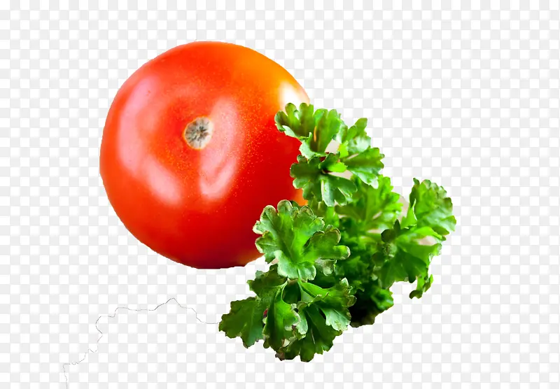 有机蔬菜西红柿