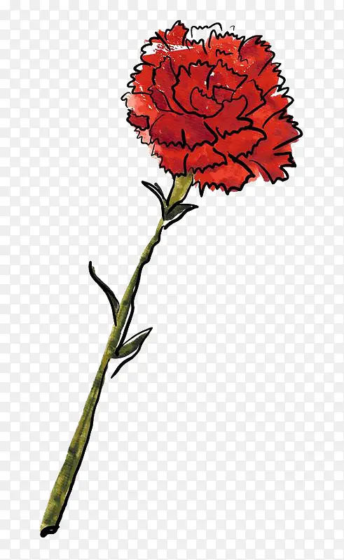 手绘水彩装饰花卉插图一支红色康