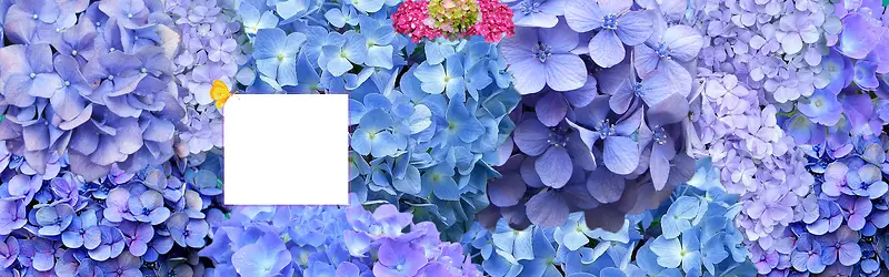 淘宝电商化妆品护肤品兰花清新唯美背景banner