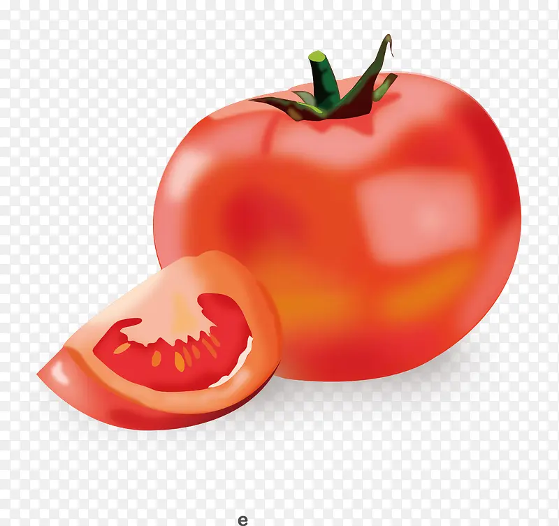 矢量手绘写实西红柿