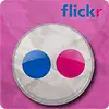 flicker折纸风格社交媒体图标