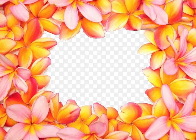 百合花合影框