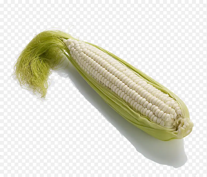 一根儿嫩白的大玉米棒