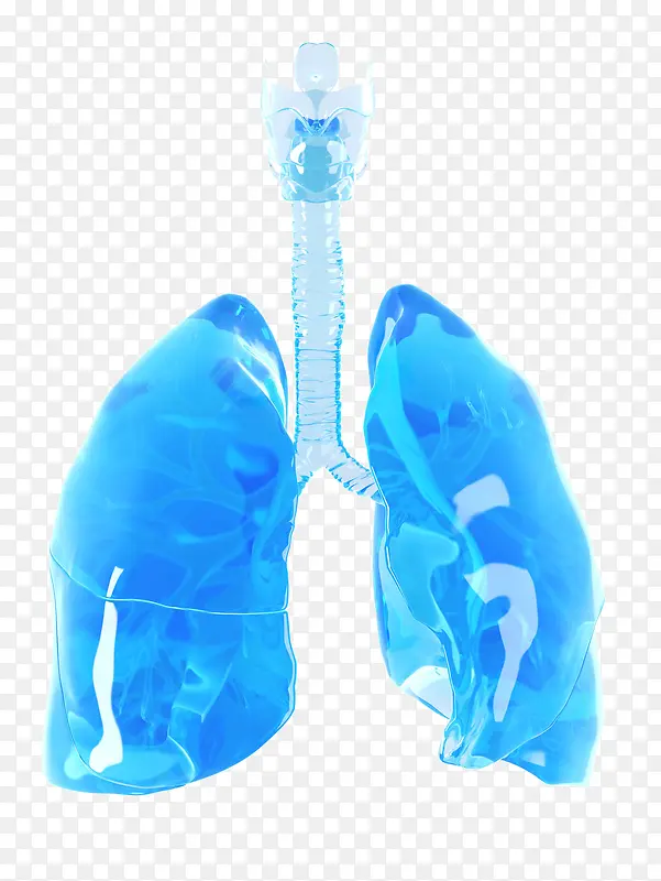 蓝色肺器官立体插画