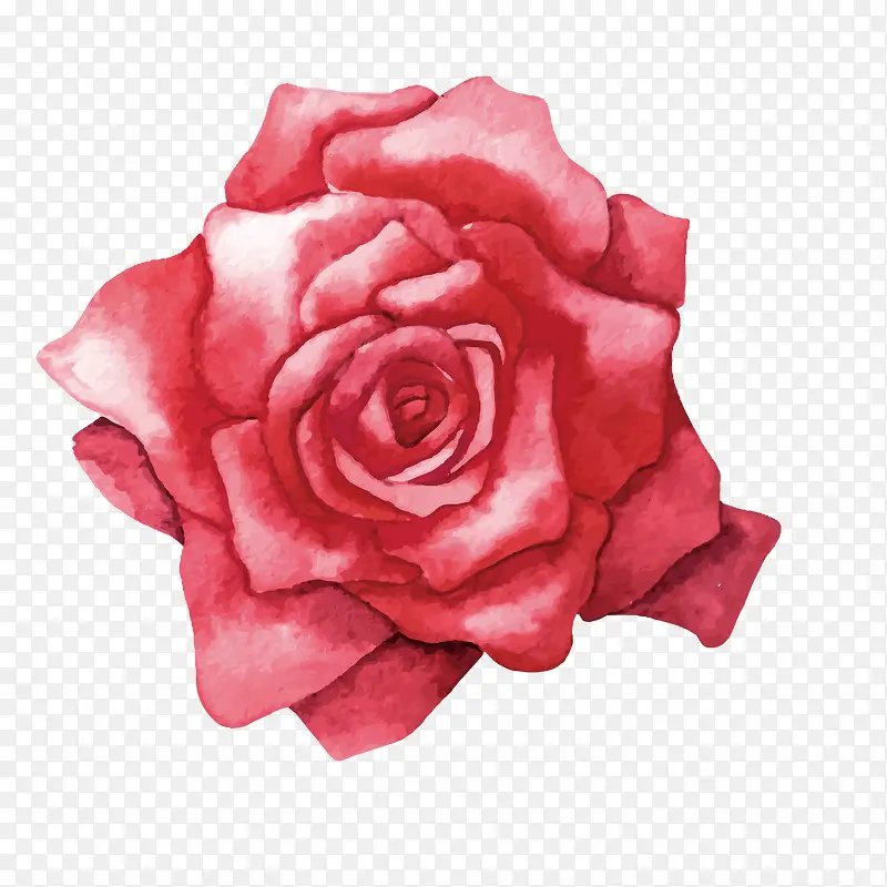 红色的玫瑰花设计