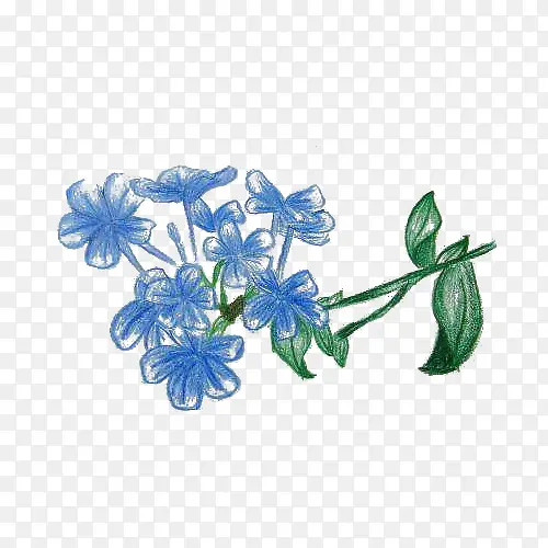 手绘蓝色丁香花设计免抠