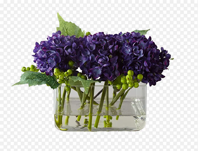 紫色绣球花插花