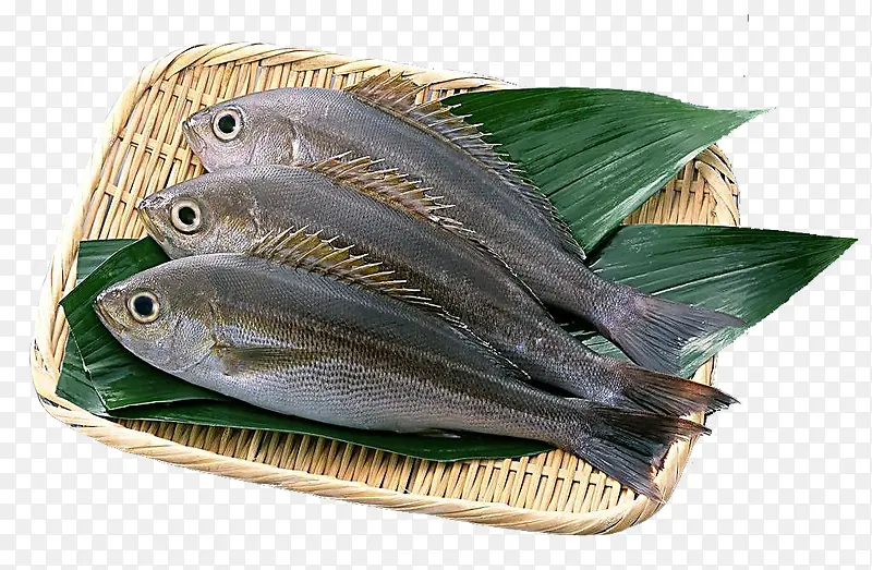 三条鱼生鱼放在竹篓