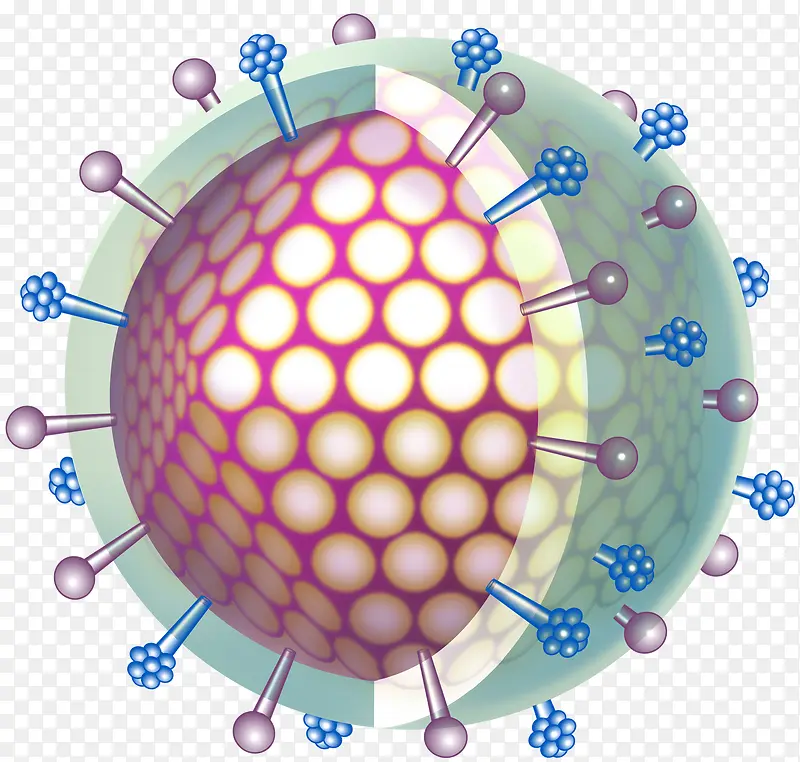 病毒细胞横截面立体插画