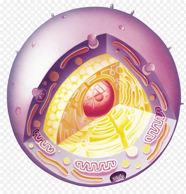 紫色球体细胞立体插画