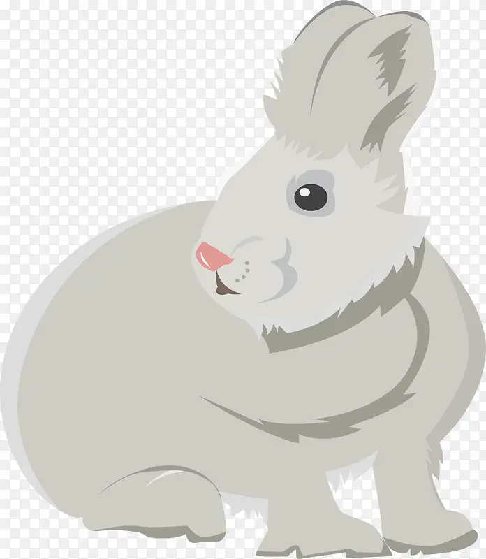 毛茸茸的可爱小灰兔