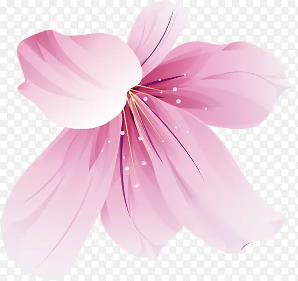 手绘花朵花瓣花蕊效果