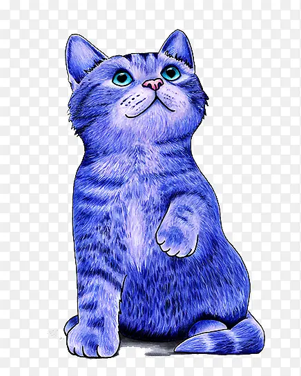 紫色彩绘猫咪图