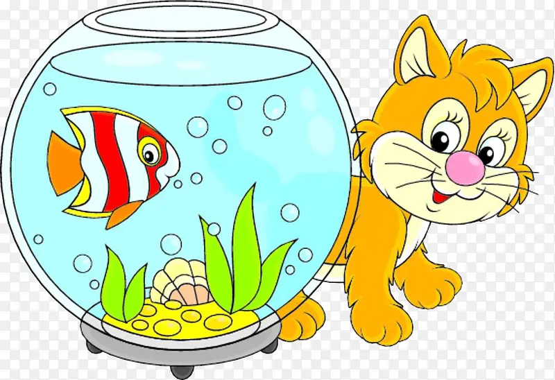 鱼缸旁边的小黄猫