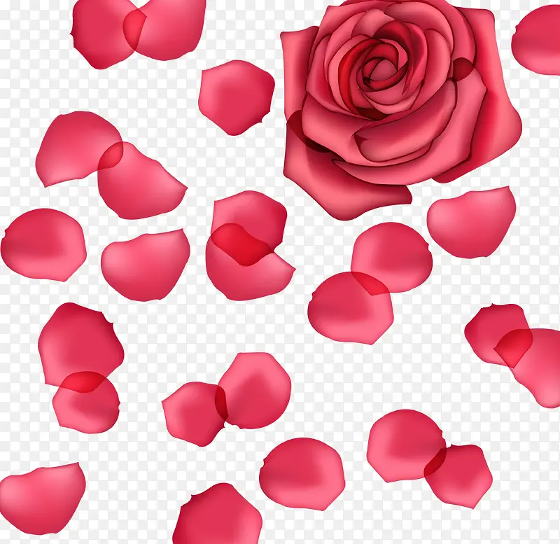 创意手绘效果红色的玫瑰花瓣