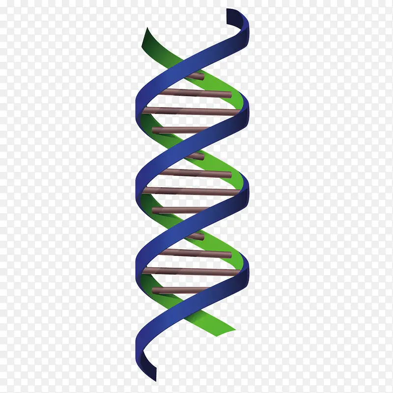 矢量卡通DNA链条基因链
