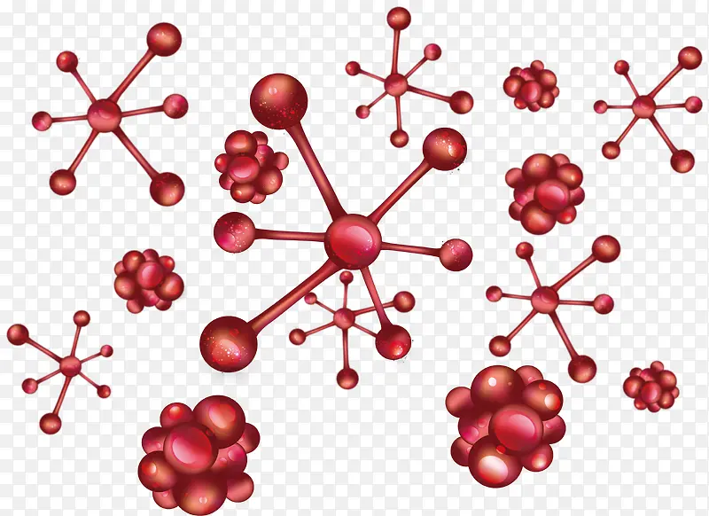 红细胞结构